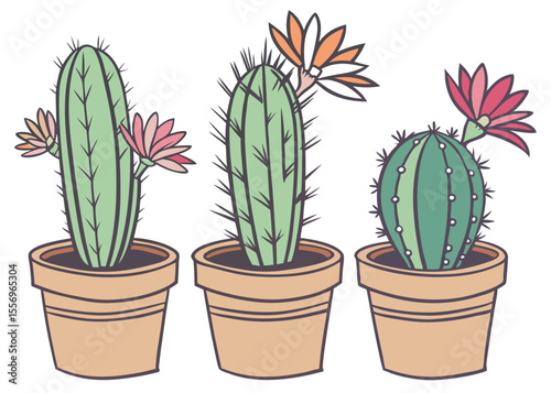 A charming vector illustration potted cactus .vector illustration