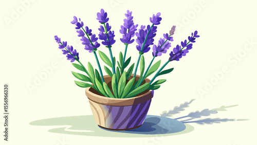 Close-up of blooming lavender in a small ceramic pot, soft violet petals clustered on long stems, delicate green leaves, shadows cast gently on the white background, peaceful and aromatic mood.
