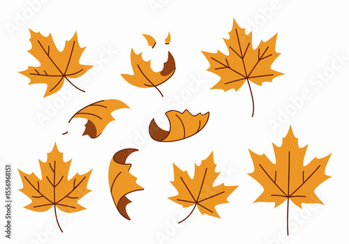 Stylized collection of autumn maple leaves and falling curled leaves in orange and brown tones on a white background.
