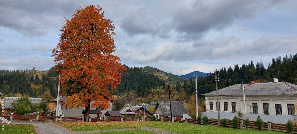 Fototapeta premium autumn in the Carpathians