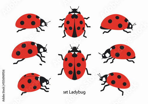 Set of Simple Red Ladybug Illustrations in Various Poses and Angles, Flat Design Vector Elements on White Background