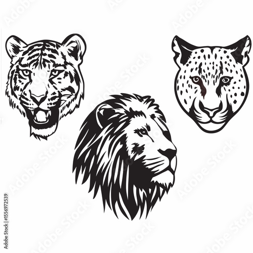 Powerful vector illustration of wild feline heads, featuring a tiger and lion, perfect for a striking logo or tattoo design