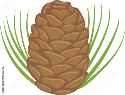 vector illustration of pine cone