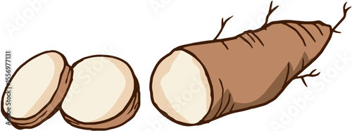 vector illustration of a coffee beans