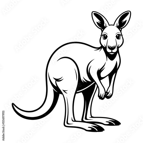 kangaroo cartoon illustration in wild life 