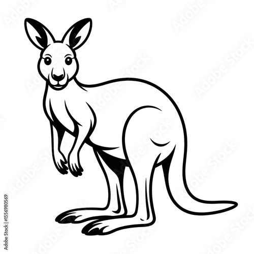 kangaroo vector illustration in wild 