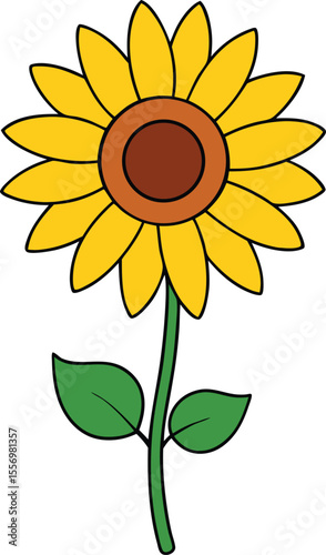 Hand drawn sunflower with outlined leaves on transparent background