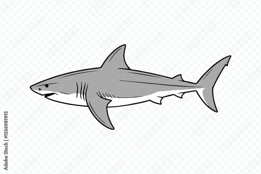 Fototapeta premium minimalistic shark vector drawing suited for marine biology illustrations, environmental campaigns and predator anatomy studies