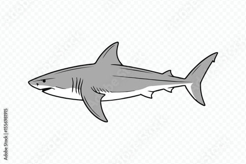 minimalistic shark vector drawing suited for marine biology illustrations, environmental campaigns and predator anatomy studies