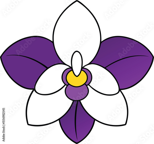 Orchid bloom purple and white petals on transparent background