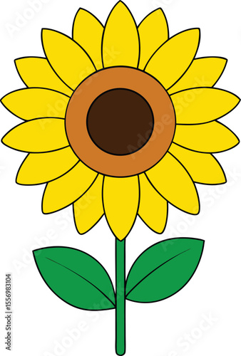 Colorful sunflower with green leaves on transparent background