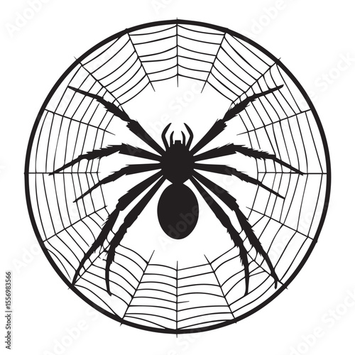 "Spider silhouette on web" vector art" isolate black and white background