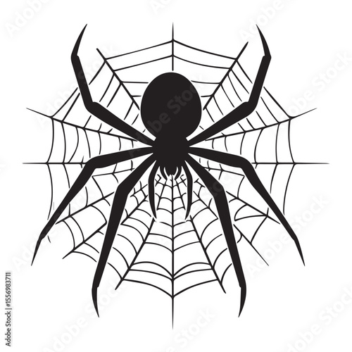 "Spider silhouette on web" vector art" isolate black and white background