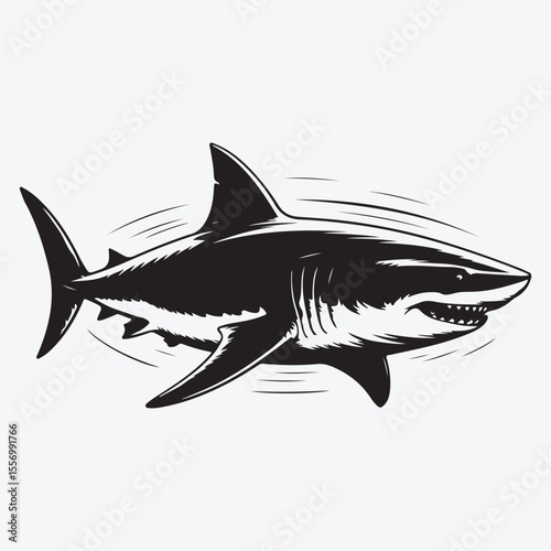 Illustration of a black and white great white shark image