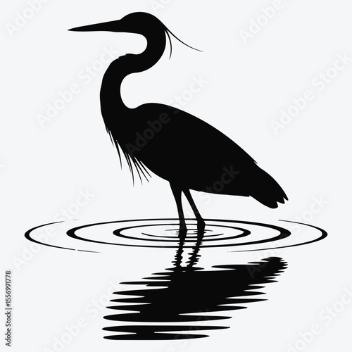 Silhouette of a heron standing in water with reflection