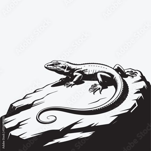 A lizard rests on a rock in a black and white illustration