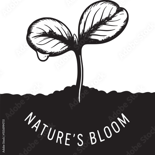 Illustration of a seedling with two green leaves emerging from soil with a water droplet attached