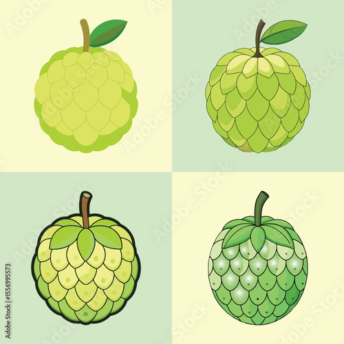 Custard Apple Flat Illustration in Simple Minimalist Flat Style