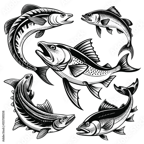 fish and fishes