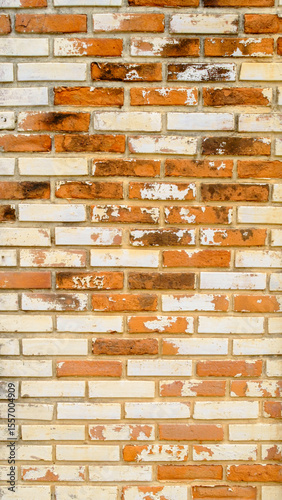 old orange   wall in the temple