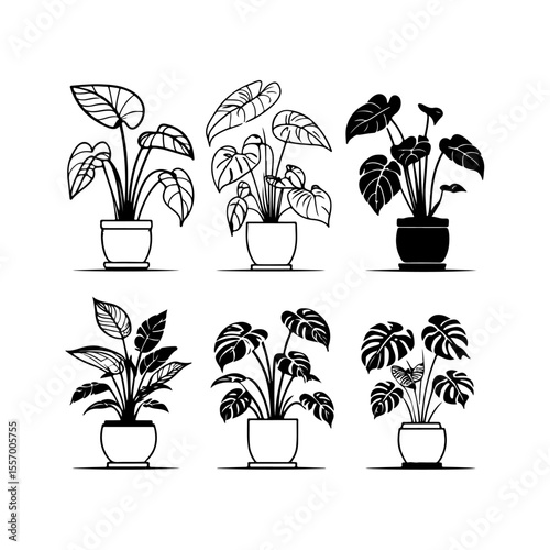 Silhouette design elements for design universal template, simple template design isolated on white background.