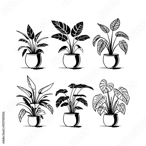 Silhouette design elements for design universal template, simple template design isolated on white background.
