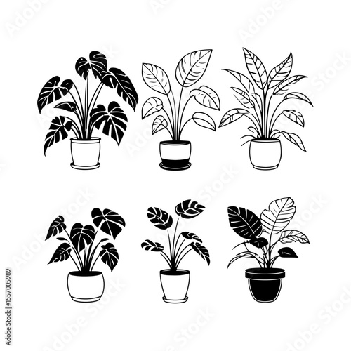 Silhouette design elements for design universal template, simple template design isolated on white background.
