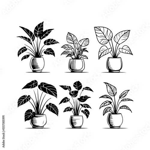 Silhouette design elements for design universal template, simple template design isolated on white background.
