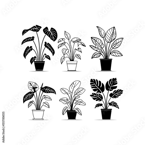 Silhouette design elements for design universal template, simple template design isolated on white background.

