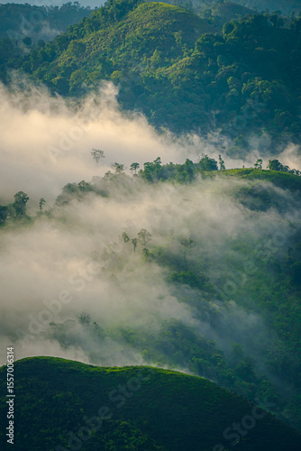 High-angle view of the mountain with lush green forest in Thailand. There is fog covering around in the morning. Fresh trees in the rainy season. The idea for a nature background with copy space.