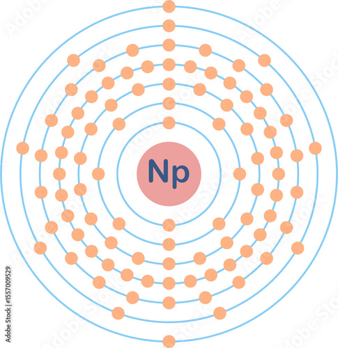 Electron configuration of neptunium element. 