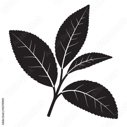 Elegant black and white illustration of tea leaves branch for botanical designs