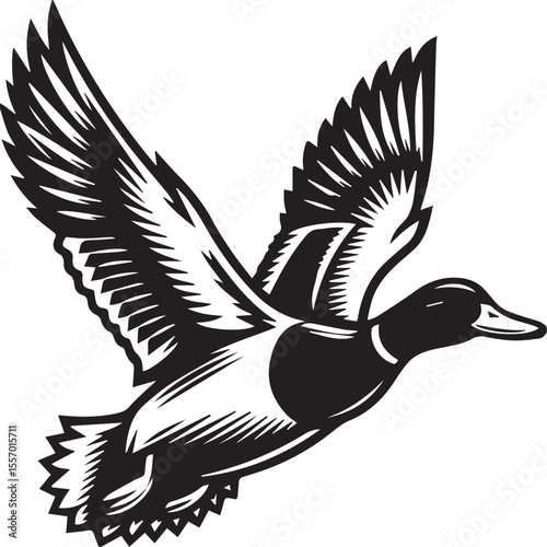 Flying Mallard Duck Black and White Illustration