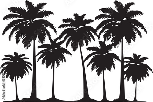 Silhouette of Palm Trees