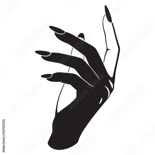 Elegant black and white vector illustration of a graceful hand with long fingernails