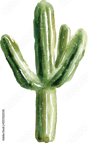 Cactus Watercolor Painting - Green Desert Plant  vector illustration