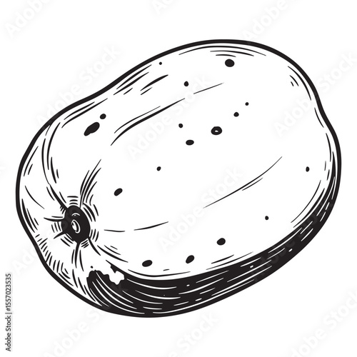 Hand drawn black and white papaya illustration isolated on a white background fresh fruit graphic design