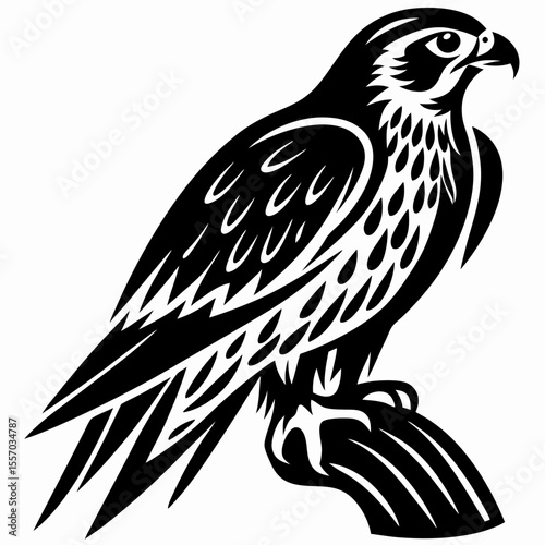Majestic Falcon A Striking Black and White Illustration