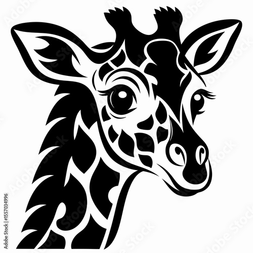 Adorable Baby Giraffe Portrait A Shy Peek from the Side