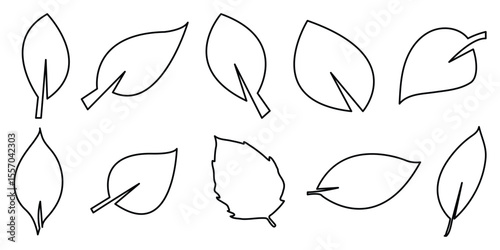 Set of leaf line icons. Leaves of trees and plants icon. Elements design for natural, eco, bio, vegan labels. leaf herb green simple graphic pictogram. Vector illustration. 