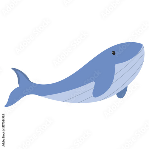 Sea Animal Illustration