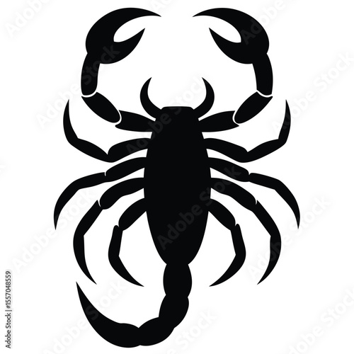 vector illustration of a scorpion