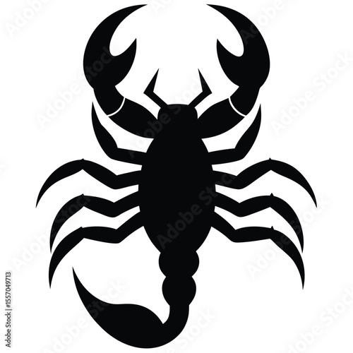 black scorpion vector