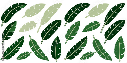 Tropical Leaf Pattern: A captivating assortment of lush green banana leaves, artfully arranged in a repeating pattern, evokes a sense of the tropics, inviting viewers to envision serene landscapes.