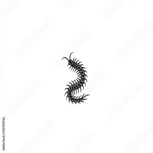 centipede