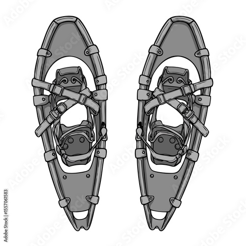 A pair of snowshoes in bear paw style with straps, winter hiking gear, isolated on transparent background
