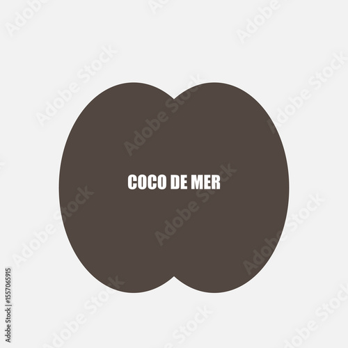 Rare Coco de Mer nut icon, sea coconut, coco de mer, or double coconut. Lodoicea fruit