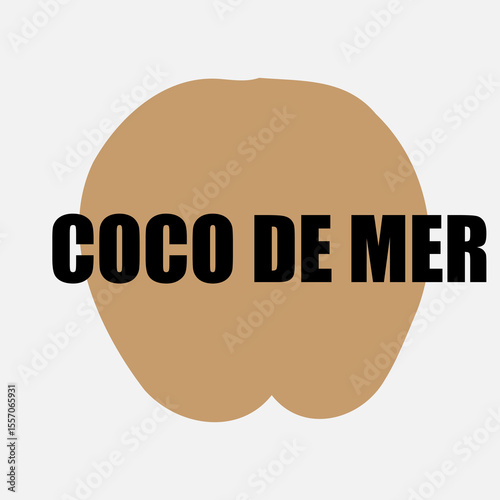 Rare Coco de Mer nut icon, sea coconut, coco de mer, or double coconut. Lodoicea fruit