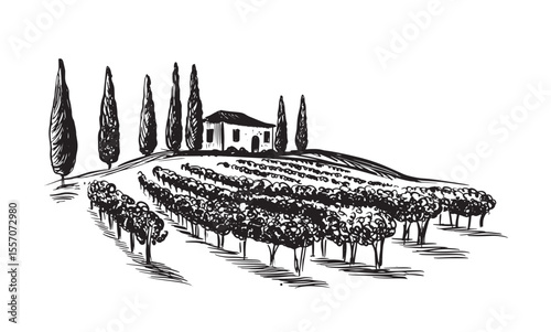Vineyard landscape with building on the hill hand drawn	
