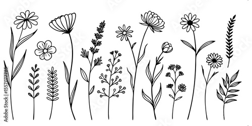 Botanical Harmony: A Delicate illustration that captures the charm and freshness of diverse flora. Each carefully sketched botanical specimen is a symbol of nature's subtle beauty.